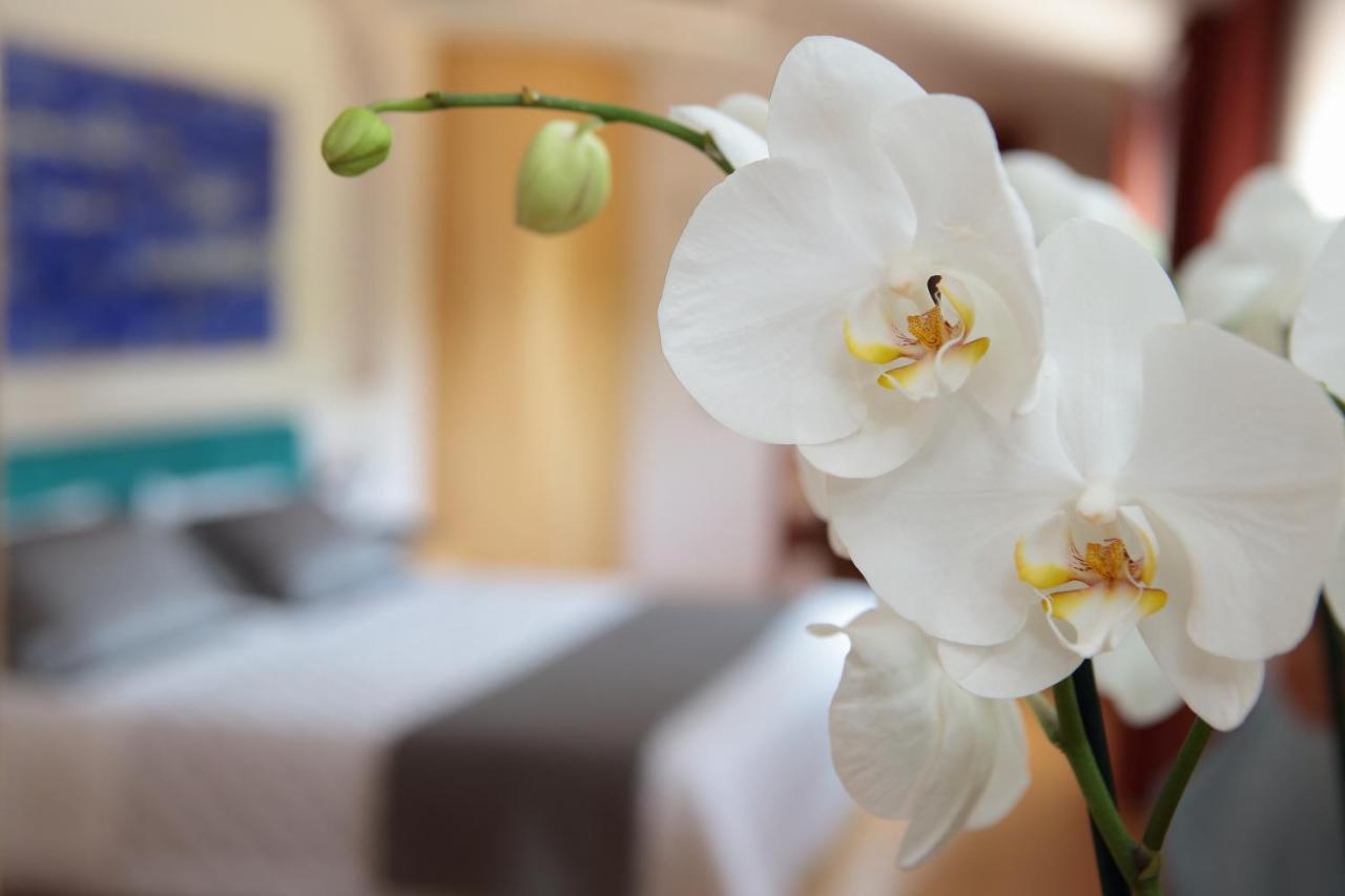 Hotel Conta Taste The Experience П'єве-ді-Соліго Екстер'єр фото